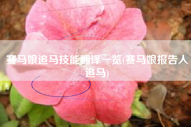 赛马娘追马技能翻译一览(赛马娘报告人追马)