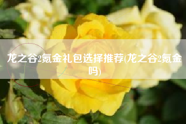 龙之谷2氪金礼包选择推荐(龙之谷2氪金吗)