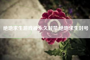 绝地求生游戏被永久封禁,绝地求生封号