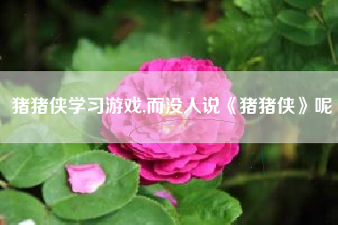 猪猪侠学习游戏,而没人说《猪猪侠》呢