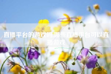 直播平台的游戏吗,哪些直播平台可以直播游戏