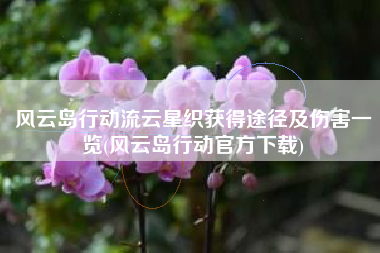 风云岛行动流云星织获得途径及伤害一览(风云岛行动官方下载)