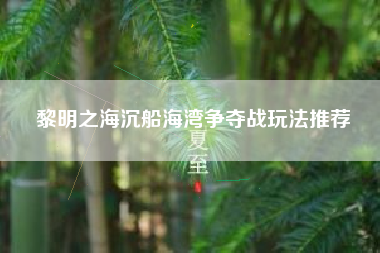 黎明之海沉船海湾争夺战玩法推荐