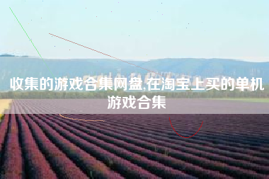 收集的游戏合集网盘,在淘宝上买的单机游戏合集