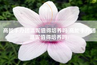 高能手办团温妮值得培养吗(高能手办团温妮值得培养吗)