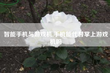 智能手机与游戏机,手机能代替掌上游戏机吗