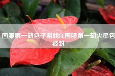 国服第一劫包子游戏id,国服第一劫火星包被封