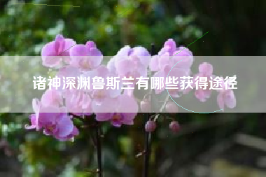 诸神深渊鲁斯兰有哪些获得途径