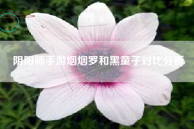 阴阳师手游烟烟罗和黑童子对比分析