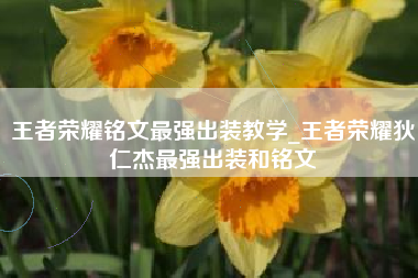 王者荣耀铭文最强出装教学_王者荣耀狄仁杰最强出装和铭文