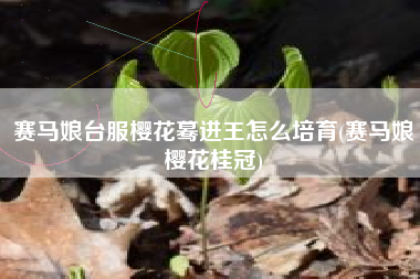 赛马娘台服樱花蓦进王怎么培育(赛马娘樱花桂冠)