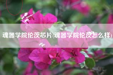 魂器学院伦茨芯片(魂器学院伦茨怎么样)