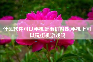 什么软件可以手机玩街机游戏,手机上可以玩街机游戏吗