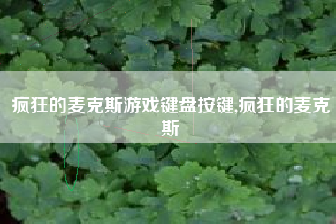 疯狂的麦克斯游戏键盘按键,疯狂的麦克斯