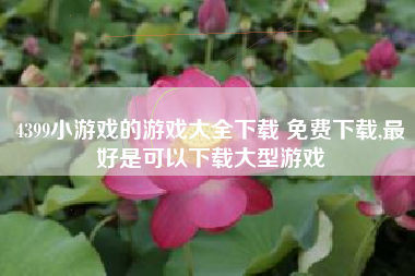 4399小游戏的游戏大全下载 免费下载,最好是可以下载大型游戏