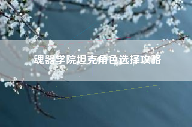 魂器学院坦克角色选择攻略