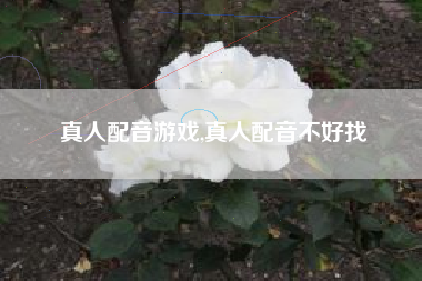 真人配音游戏,真人配音不好找