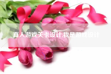 真人游戏关卡设计,我是游戏设计
