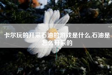 卡尔玩的开采石油的游戏是什么,石油是怎么开采的