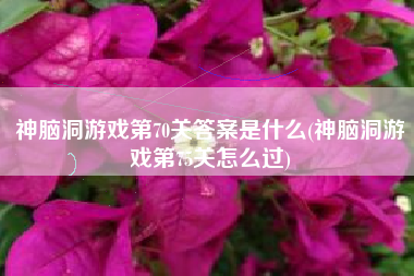 神脑洞游戏第70关答案是什么(神脑洞游戏第75关怎么过)