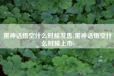 黑神话悟空什么时候发售(黑神话悟空什么时候上市)
