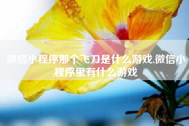 微信小程序那个飞刀是什么游戏,微信小程序里有什么游戏