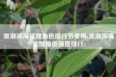 黑潮深海觉醒角色排行节奏榜(黑潮深海觉醒角色强度排行)
