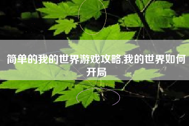 简单的我的世界游戏攻略,我的世界如何开局