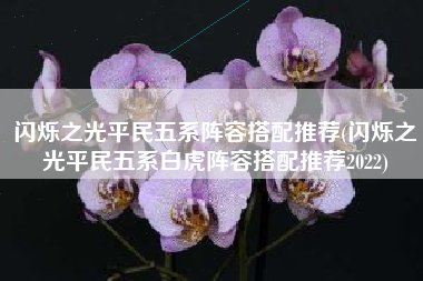 闪烁之光平民五系阵容搭配推荐(闪烁之光平民五系白虎阵容搭配推荐2022)
