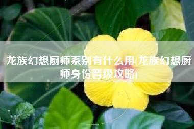 龙族幻想厨师系别有什么用(龙族幻想厨师身份晋级攻略)