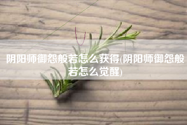 阴阳师御怨般若怎么获得(阴阳师御怨般若怎么觉醒)