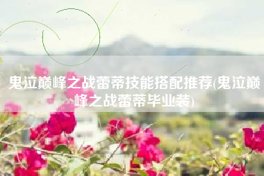 鬼泣巅峰之战蕾蒂技能搭配推荐(鬼泣巅峰之战蕾蒂毕业装)