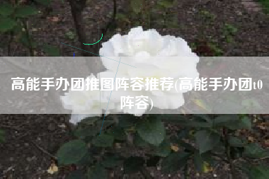 高能手办团推图阵容推荐(高能手办团t0阵容)