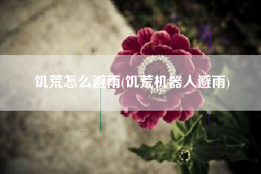 饥荒怎么避雨(饥荒机器人避雨)