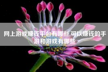 网上游戏赚钱平台有哪些,可以赚钱的手游和游戏有哪些