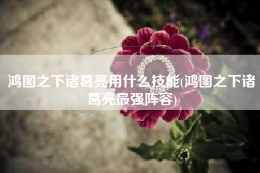 鸿图之下诸葛亮用什么技能(鸿图之下诸葛亮最强阵容)