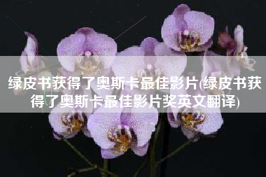 绿皮书获得了奥斯卡最佳影片(绿皮书获得了奥斯卡最佳影片奖英文翻译)