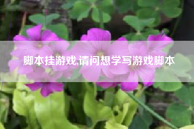 脚本挂游戏,请问想学写游戏脚本