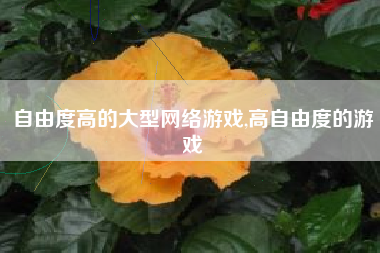 自由度高的大型网络游戏,高自由度的游戏
