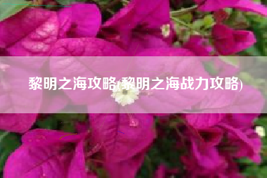 黎明之海攻略(黎明之海战力攻略)