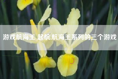 游戏航海王 起航,航海王系列的三个游戏