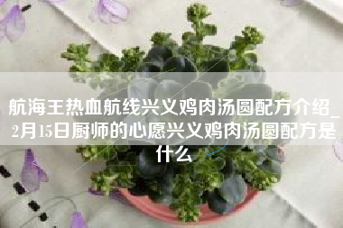 航海王热血航线兴义鸡肉汤圆配方介绍_2月15日厨师的心愿兴义鸡肉汤圆配方是什么