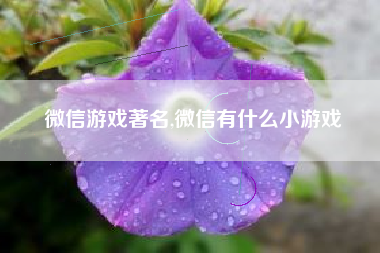 微信游戏著名,微信有什么小游戏