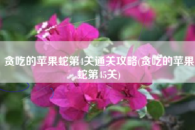 贪吃的苹果蛇第4关通关攻略(贪吃的苹果蛇第45关)