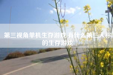 第三视角单机生存游戏,有什么第三人称的生存游戏