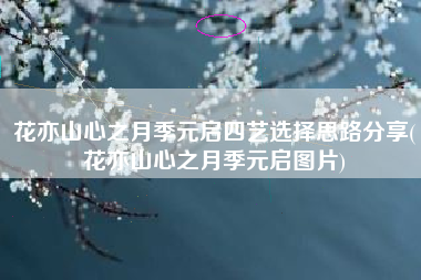 花亦山心之月季元启四艺选择思路分享(花亦山心之月季元启图片)