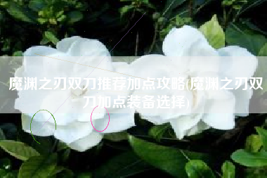 魔渊之刃双刀推荐加点攻略(魔渊之刃双刀加点装备选择)