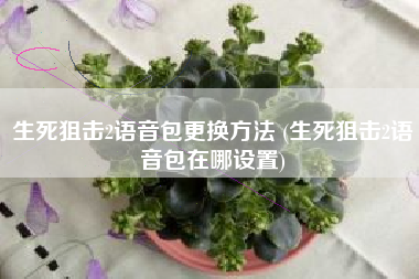 生死狙击2语音包更换方法 (生死狙击2语音包在哪设置)