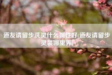 道友请留步洗灵什么属性好(道友请留步灵装哪里弄)