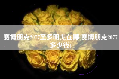 赛博朋克2077圣多明戈在哪(赛博朋克2077多少钱)